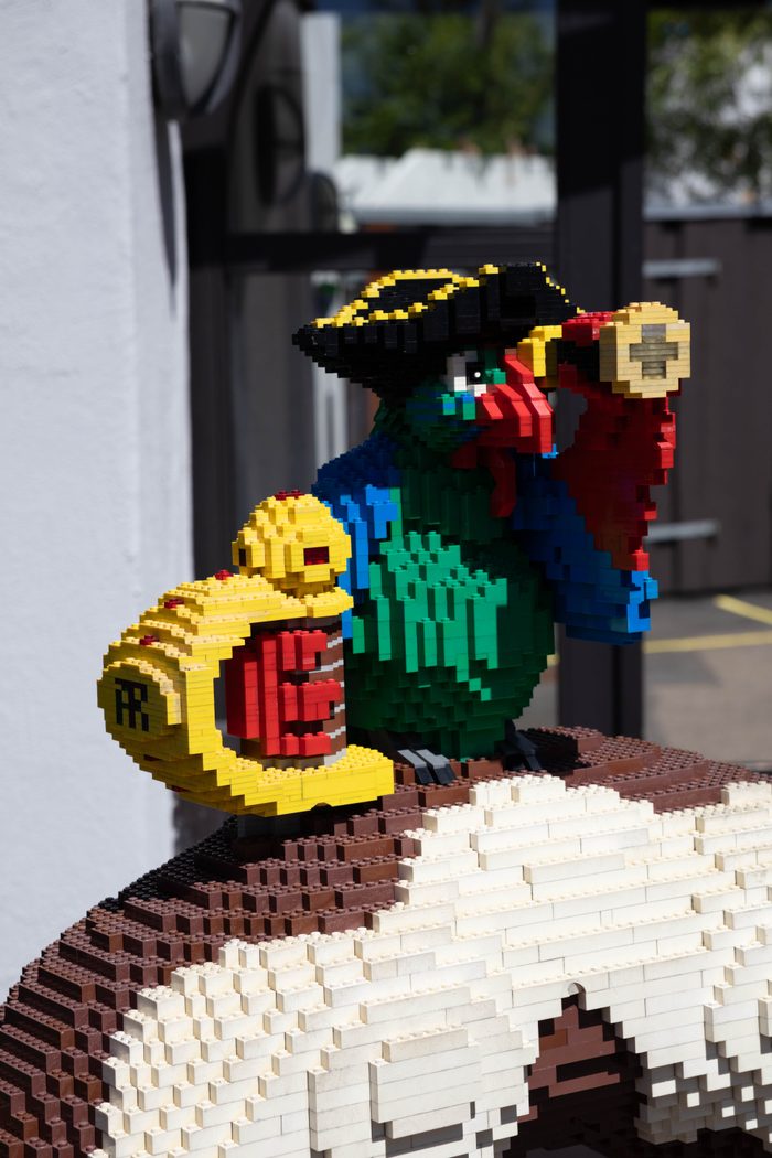 Pirate Parrot